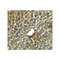 ProSci 3627 LAMP-2 Antibody