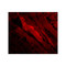 ProSci 3903 SHP2 Antibody