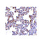 ProSci 3981 PEN2 Antibody