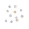 ProSci 4285 TDP43 Antibody