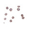 ProSci 4443 CXCR4-Lo Antibody