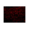 ProSci 4659 CLIP170 Antibody