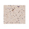ProSci 4843 Spred1 Antibody