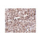 ProSci 4891 MettL7B Antibody