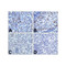 ProSci RF16002 PD1 Antibody