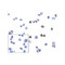 ProSci RF16005 PD1 Antibody