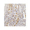 ProSci RF16033 PDL1 Antibody