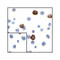 ProSci RF16044 CD80 Antibody