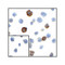 ProSci RF16043 CD80 Antibody