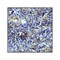 ProSci RF16043 CD80 Antibody