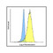 ProSci RF16063 LIGHT Antibody