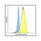 ProSci RF16064 LIGHT Antibody