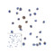 ProSci RF16084 LAG3 Antibody