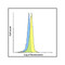 ProSci SD8839 LAG-3 Single Domain Antibody