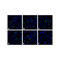 (GS1-7010) PDL2 Detection Set (Risk Free) ProSci 1 Set/Unit