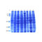 (GS1-186) Mouse Normal Tissue Blot II ProSci One blot/Unit