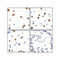 (GS1-7003) CTLA4 Detection Set (Risk Free) ProSci 1 Set/Unit