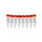 (11-705C) Fungal DNA Standards and No Template Control Zymo Research 8 x 50µl/Unit