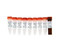 (11-705) Femto Fungal DNA Quantification Kit Zymo Research 100 rxns/Unit