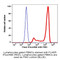 (55-928G) FLAER iFluor™488 Mammalian GPI Protein 50ug/Unit