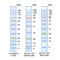 (83-650) Full-Range Prestained Protein 3 Color, 10 to 245 kDa 500ul/Unit