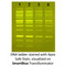 (20-278) Apex Safe DNA Gel Stain 20,000x, In Water 1.0ml/Unit