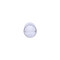Flystuff® Drosophila Bottle Bundles