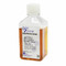 GenClone® Fetal Bovine Serum