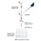 jetPRIME® DNA and siRNA Transfection Reagent
