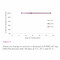 PCRBIO HS Taq DNA Polymerase