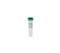 Microbial Community DNA Standard