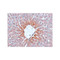 ProSci 5393 AGTR2 Antibody