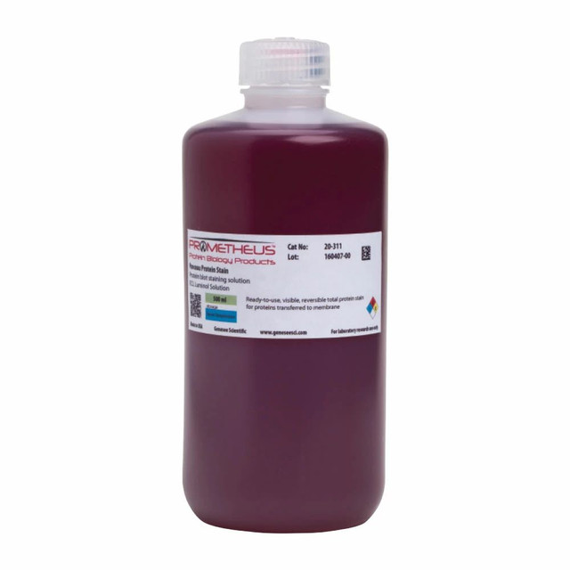 Glutathione Agarose 4B 4% Agarose Beads