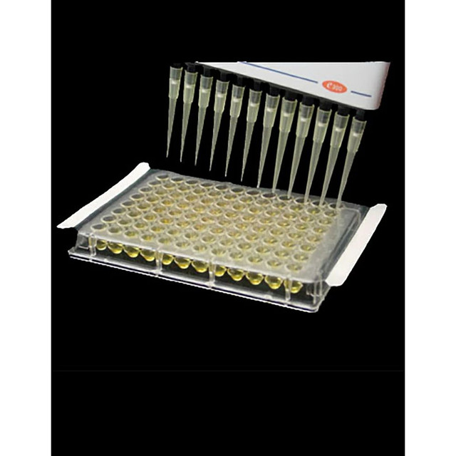 eXTReme™ FoilSeal™ Sealing Film - Genesee Scientific