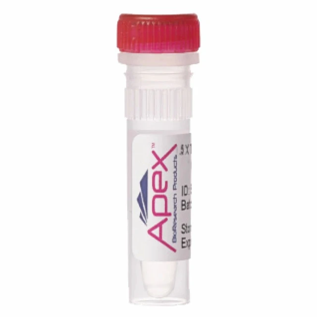 Apex qPCR Master Mix, 2X, without ROX - Genesee Scientific