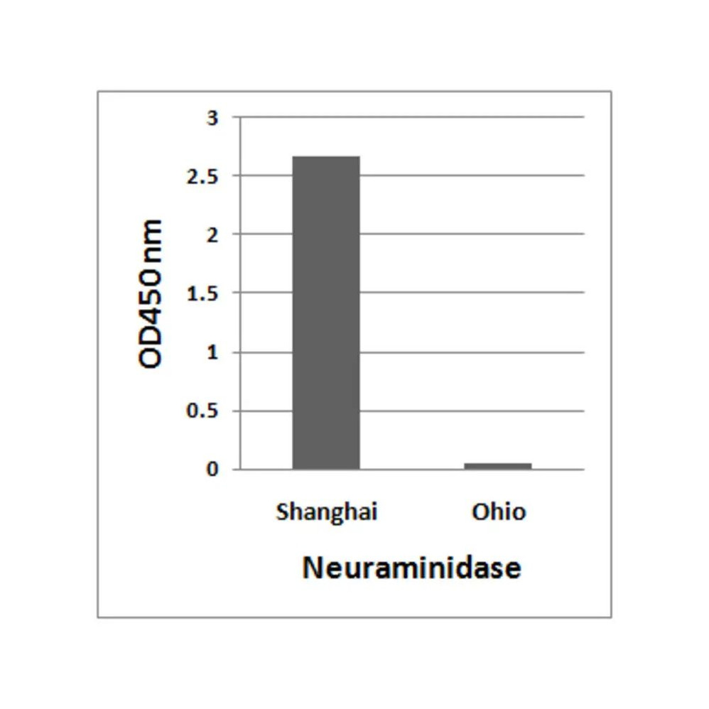ProSci 7827 Avian Influenza A H7N9 Neuraminidase Antibody