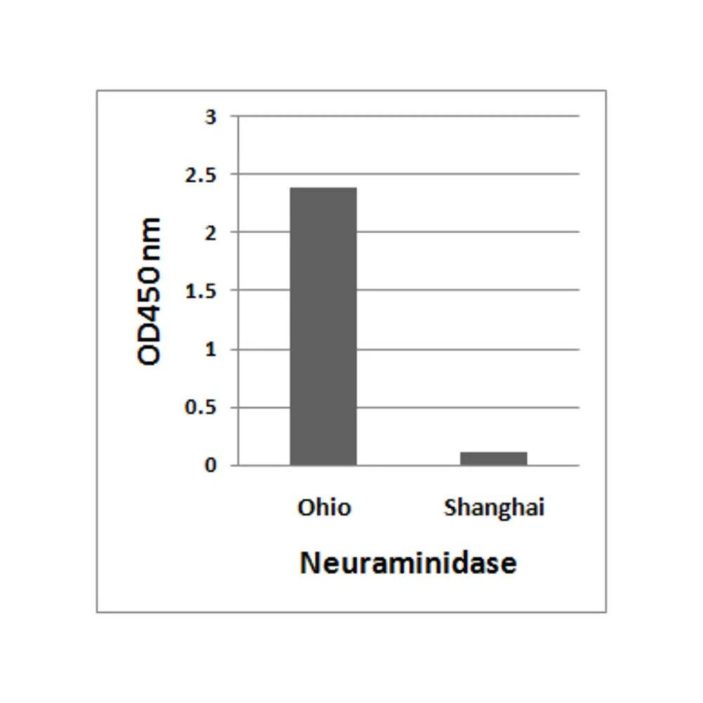 ProSci 7831 Avian Influenza A H7N9 Neuraminidase Antibody