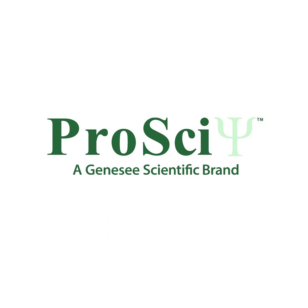 ProSci 3429 West Nile Virus Matrix Antibody