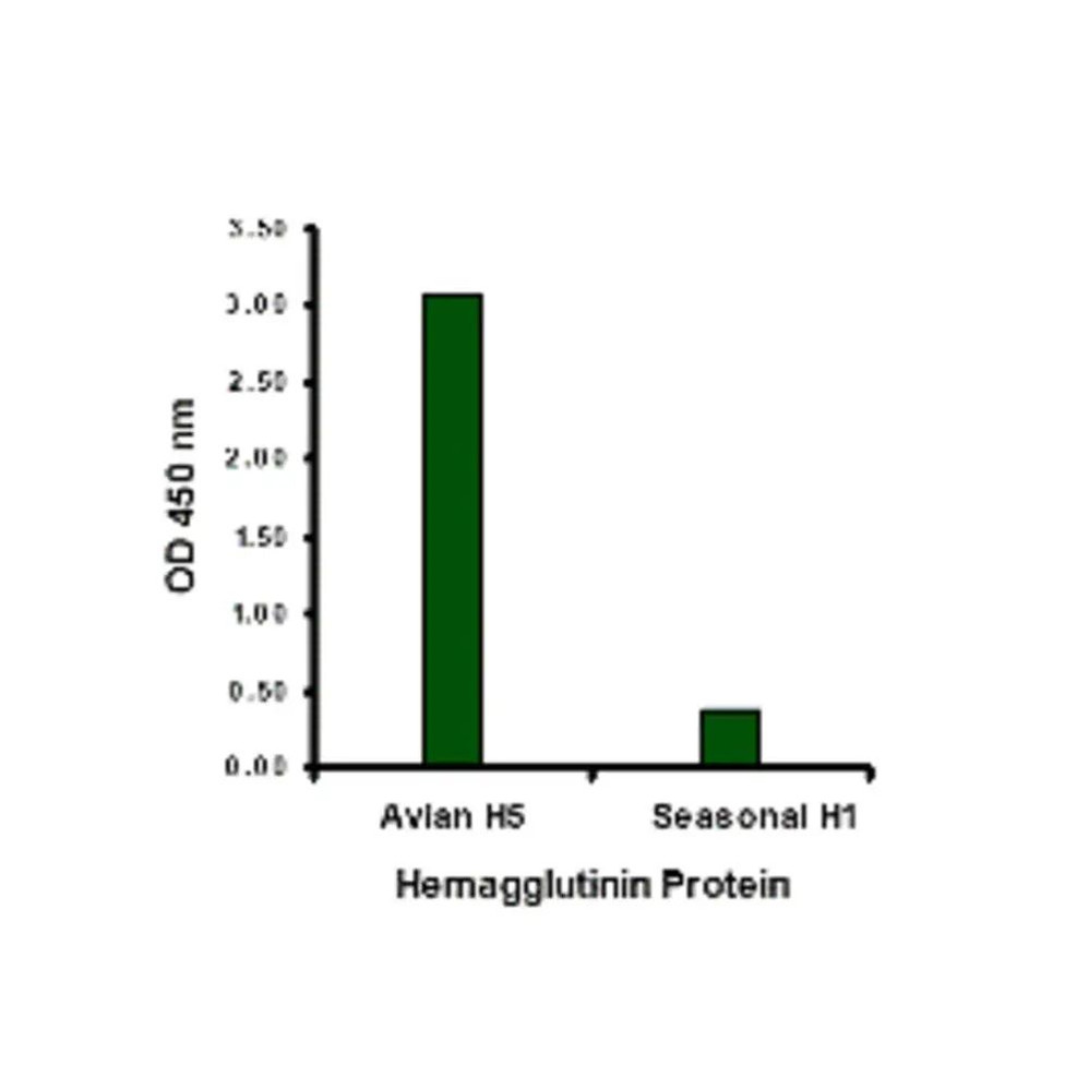 ProSci 3425 Avian Influenza Hemagglutinin Antibody