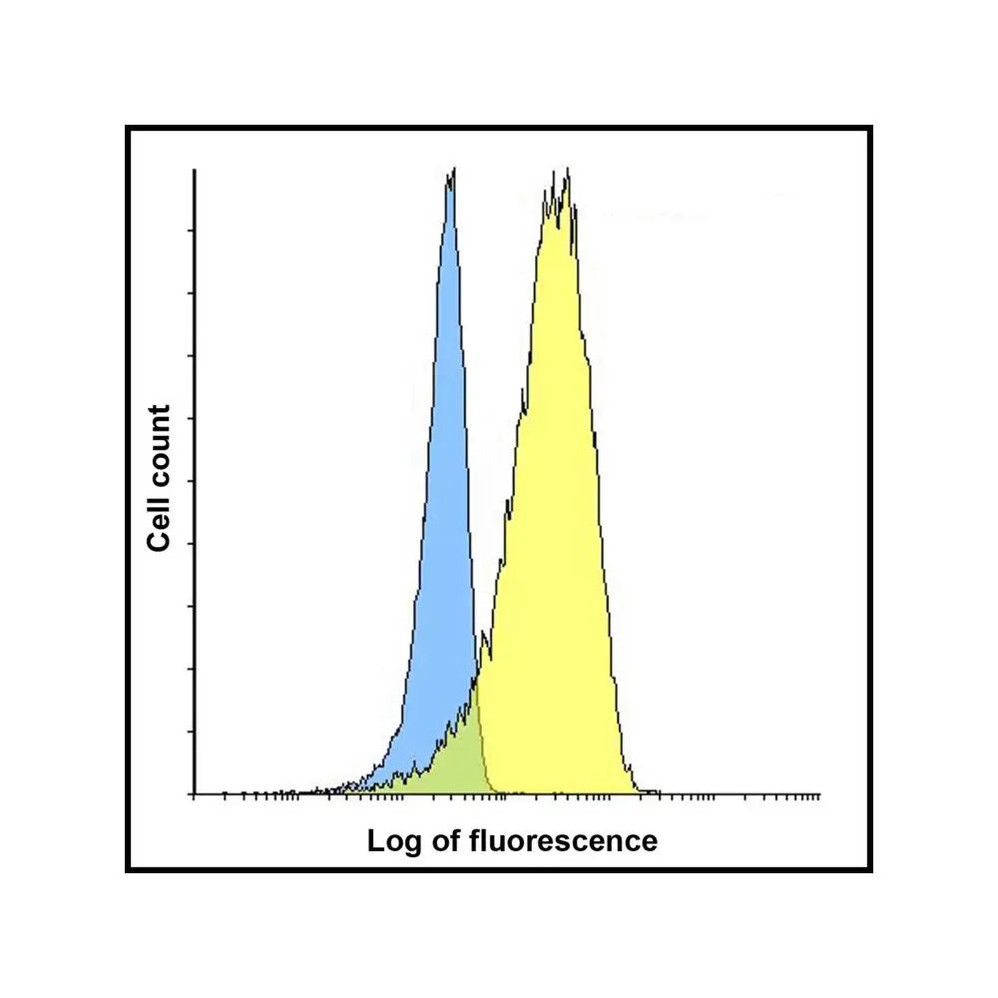 ProSci RF16062 LIGHT Antibody