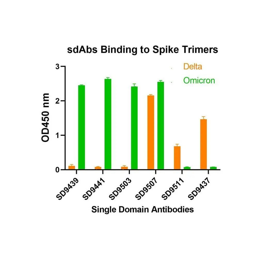 ProSci SD9439 SARS-CoV-2 (COVID-19) S1 RBD Single Domain Antibody