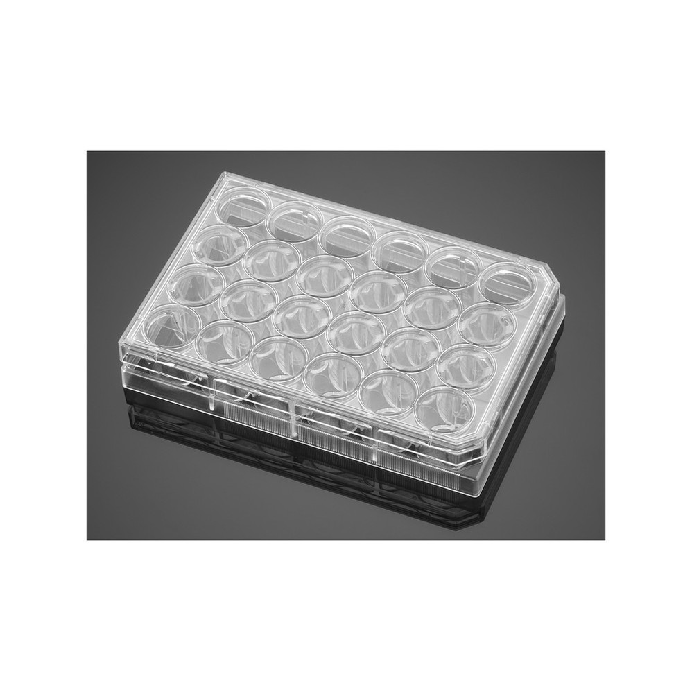Falcon® Clear Multiwell Plates
