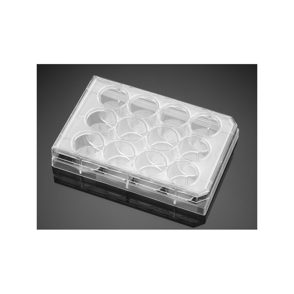 Falcon® Clear Multiwell Plates