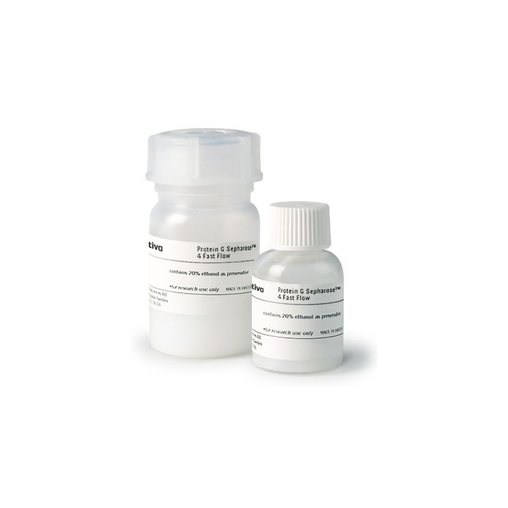 Cytiva® Protein G Sepharose 4 Fast Flow