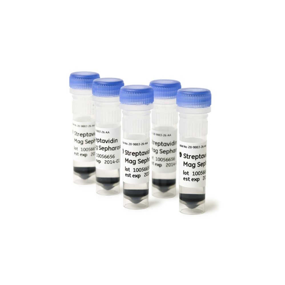 Cytiva® Streptavidin Mag Sepharose