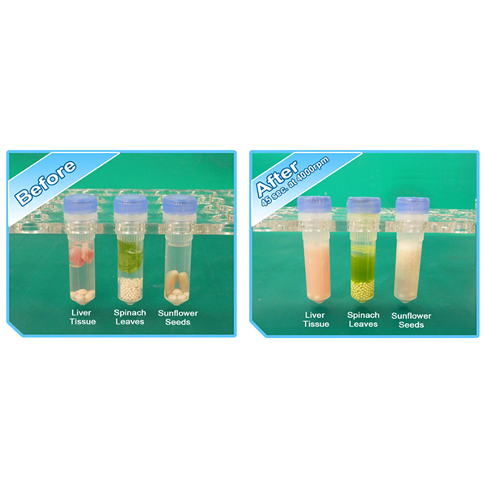 (31-216) BeadBug 6 Microtube Homogenizer 1 Homogenizer/Unit