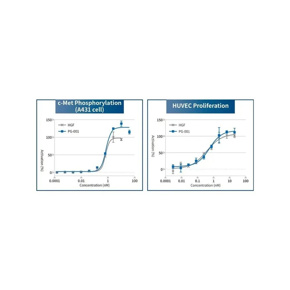 PeptiGrowth PG-001 PeptiGrowth PG-001-2  HGF Alternative Peptide, c-Met Agonist, 2 µg/Unit, c-Met Agonist, 2 µg/Unit Secondary Image