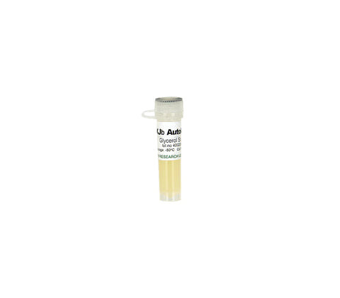 (11-498D) XJbDE3 Autolysis Glycerol Stock Zymo Research 1 Tube/Unit