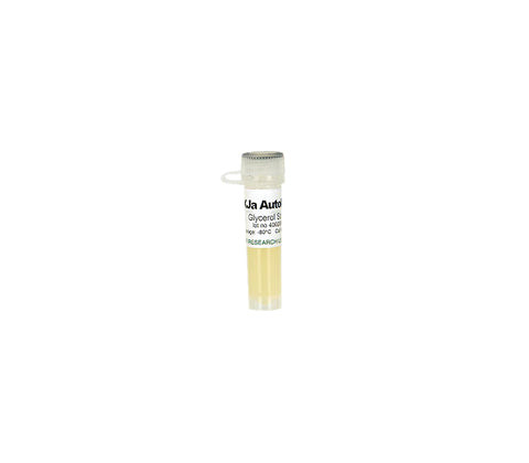 (11-498B) XJaDE3 Autolysis Glycerol Stoc Zymo Research 1 Tube /Unit