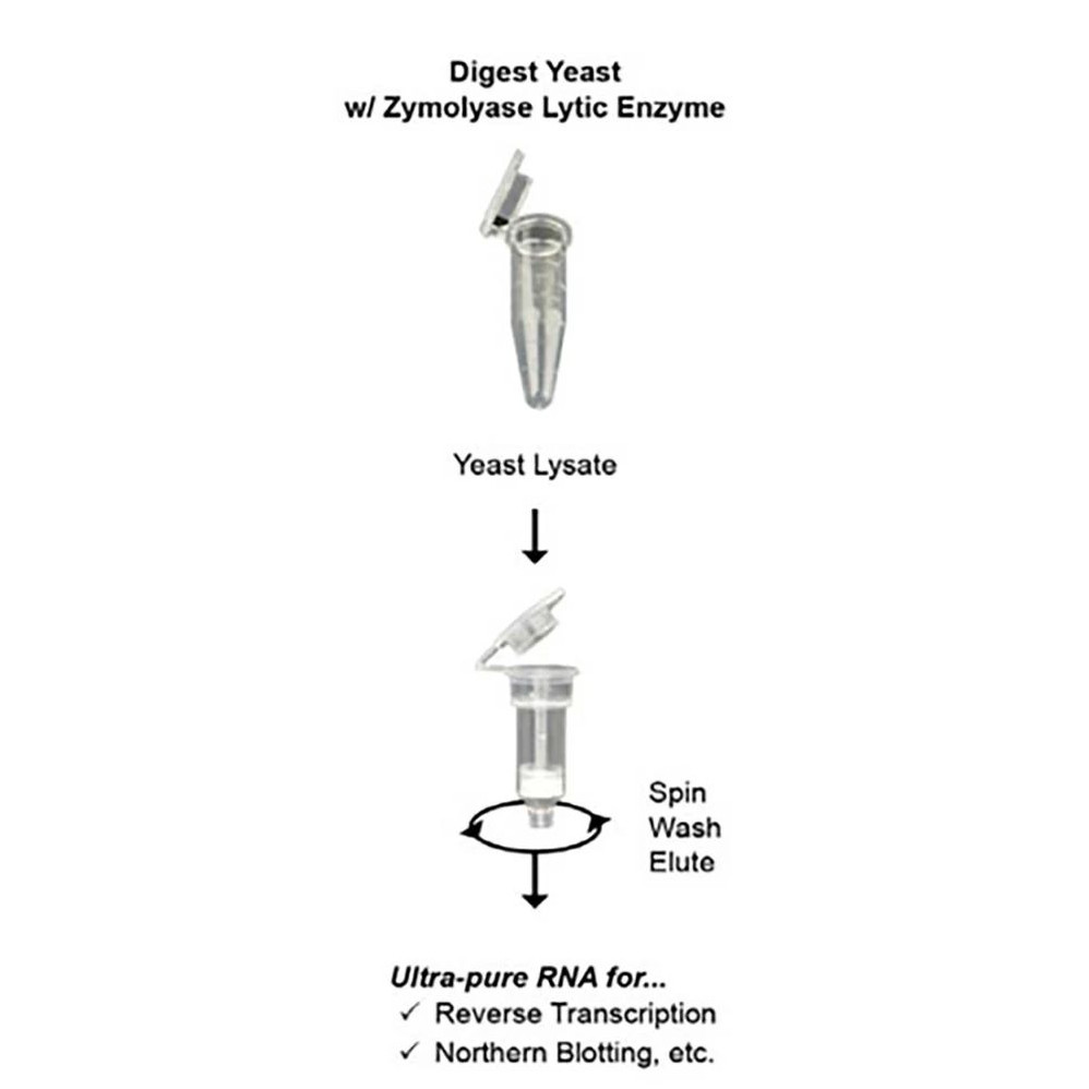 (11-329) YeaStar RNA Kit Zymo Research Kit 40 Preps/Unit
